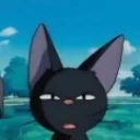 wolki~